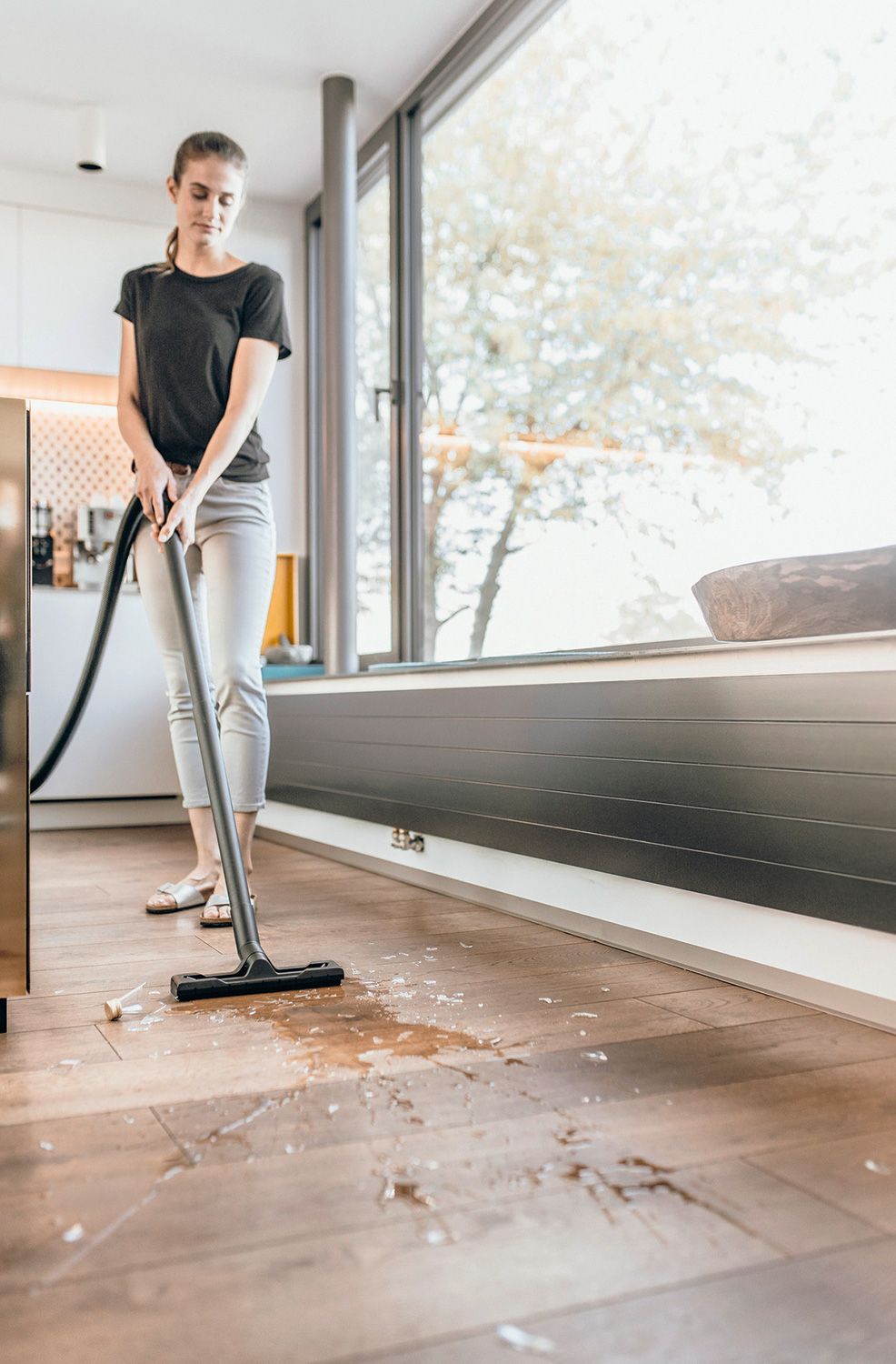 Господарський пилосос Karcher WD 2 V-12/4/18/C