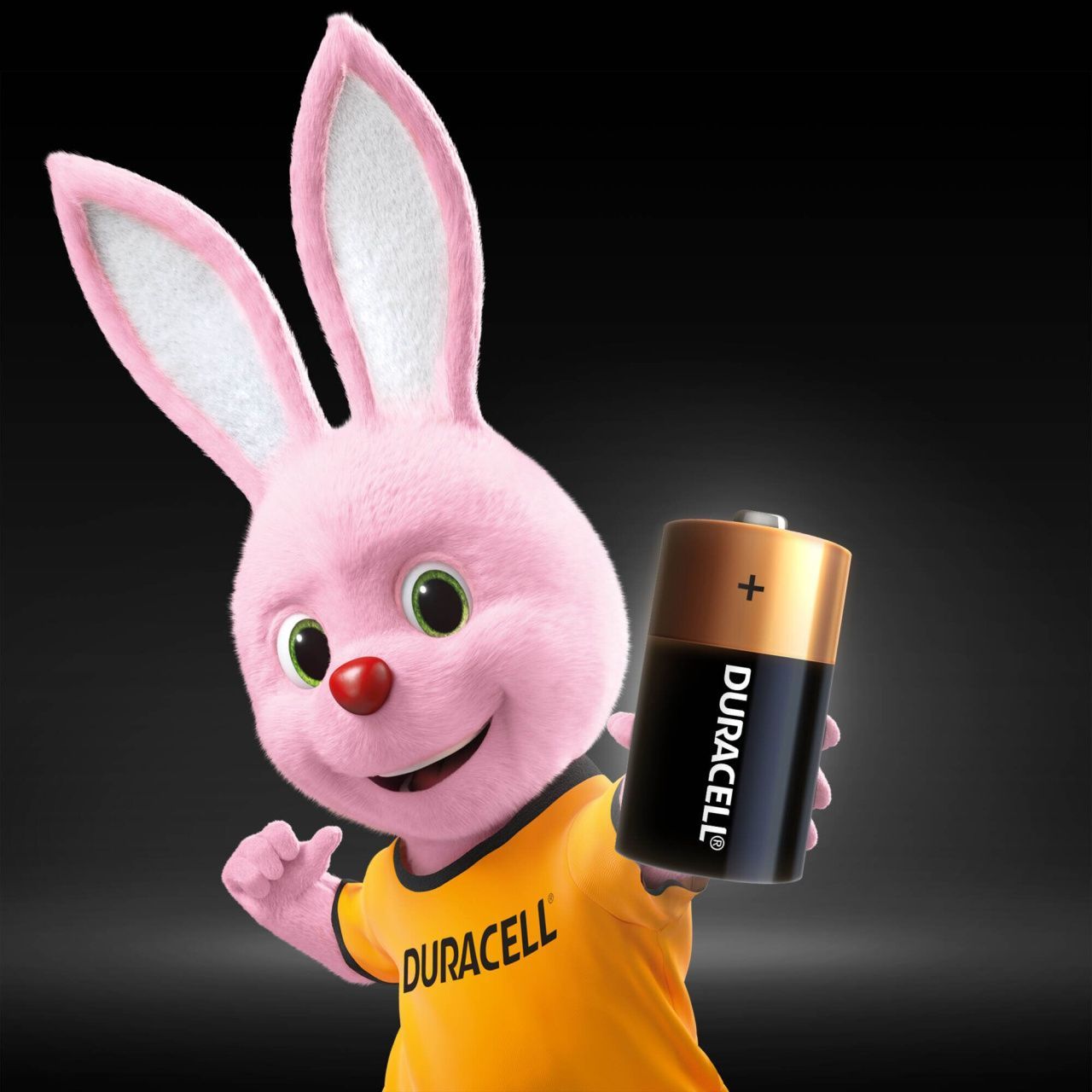 Батарейка Duracell C bat Alkaline 2шт 5006001