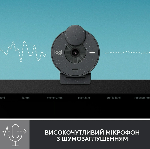 Веб-камера Logitech BRIO 300 FHD Graphite (960-001436)