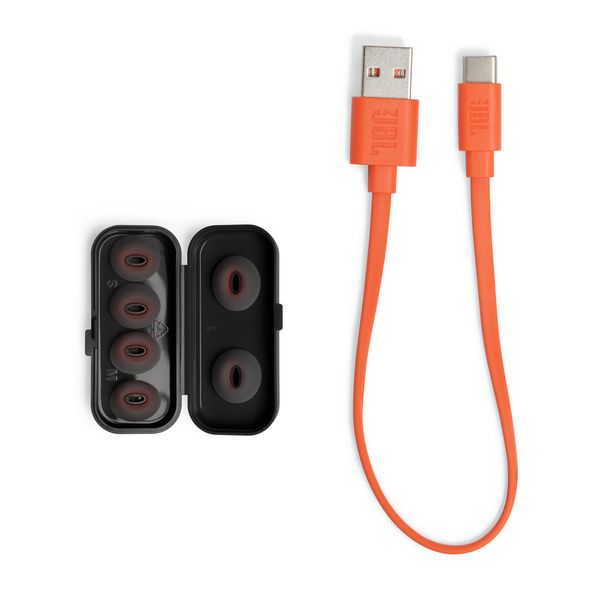 Гарнітура JBL TUNE FLEX Black (JBLTFLEXBLK)