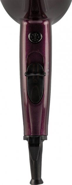 Фен ROTEX RFF202-V DelicateCare Pro