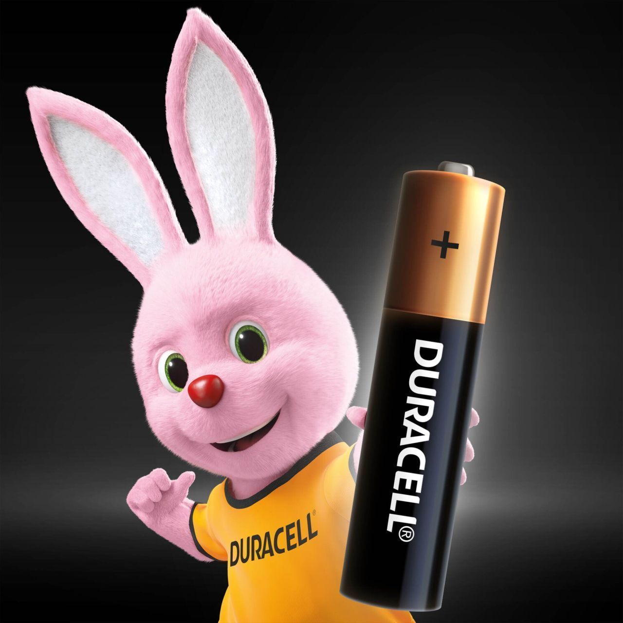 Батарейка Duracell LR03 MN2400 уп. 1х10 шт.