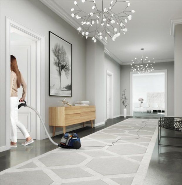 Пилосос без мішка Electrolux EUFC8ALRGY