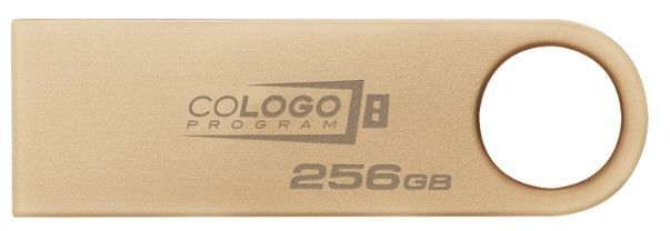 Flash Drive Kingston DT SE9 G3 256GB USB 3.2 Gold (DTSE9G3/256GB)