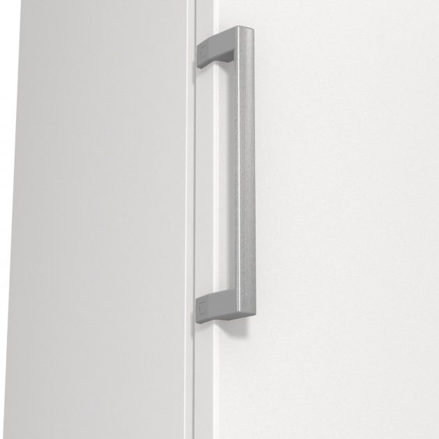 Морозильна камера Gorenje FN619EEW5 Essential