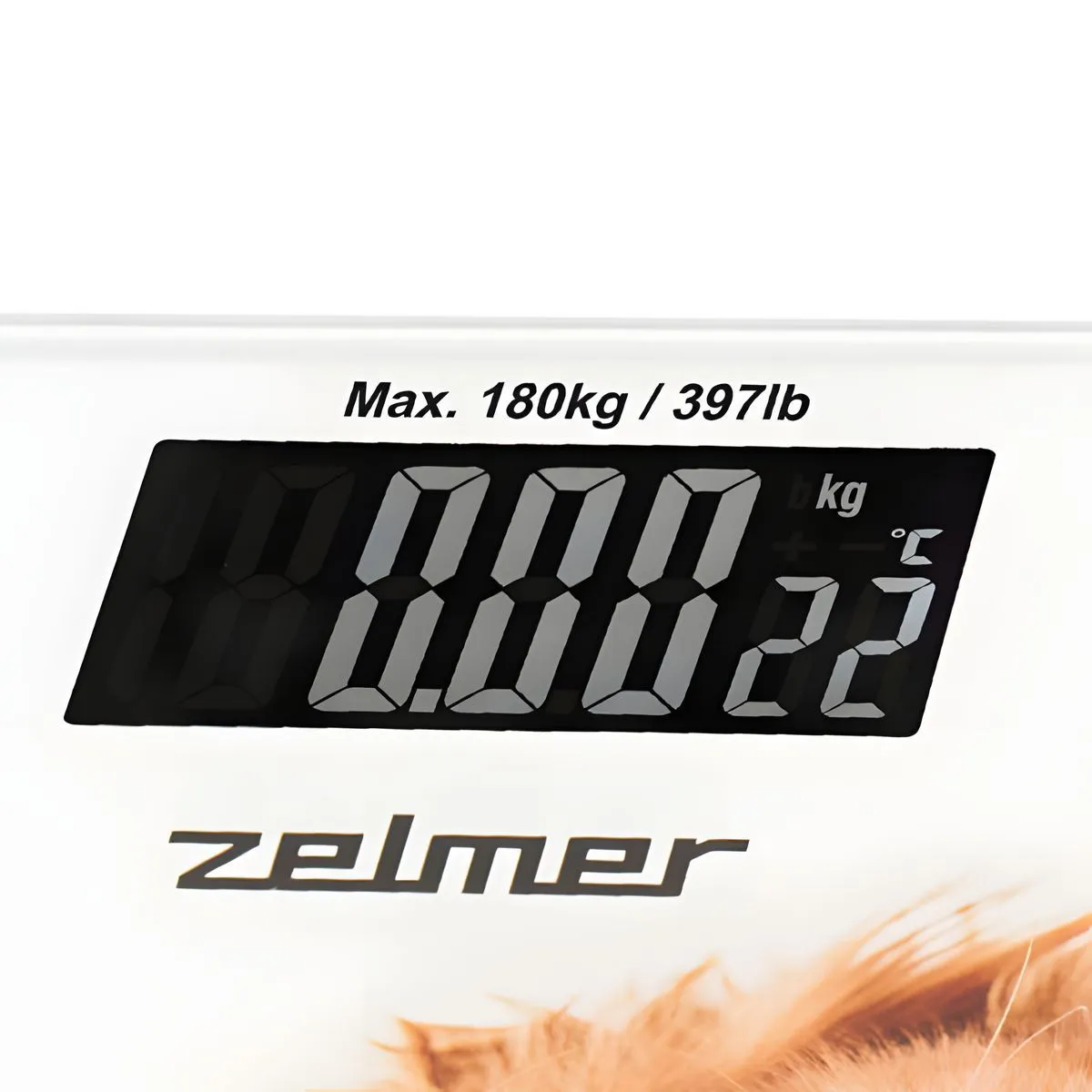 Ваги підлогові ZELMER ZBS1010 Crazy dog