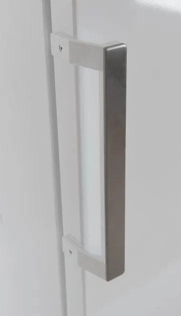 Морозильна камера Beko RFNE290L21W