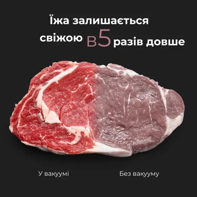 Вакуумний пакувальник AENO VS2