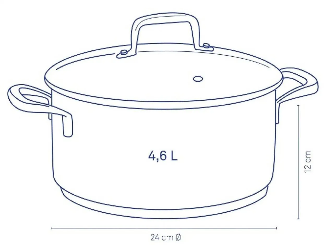 Каструля з кришкою Kela Flavoria 24 см 4.6 л (10173k)