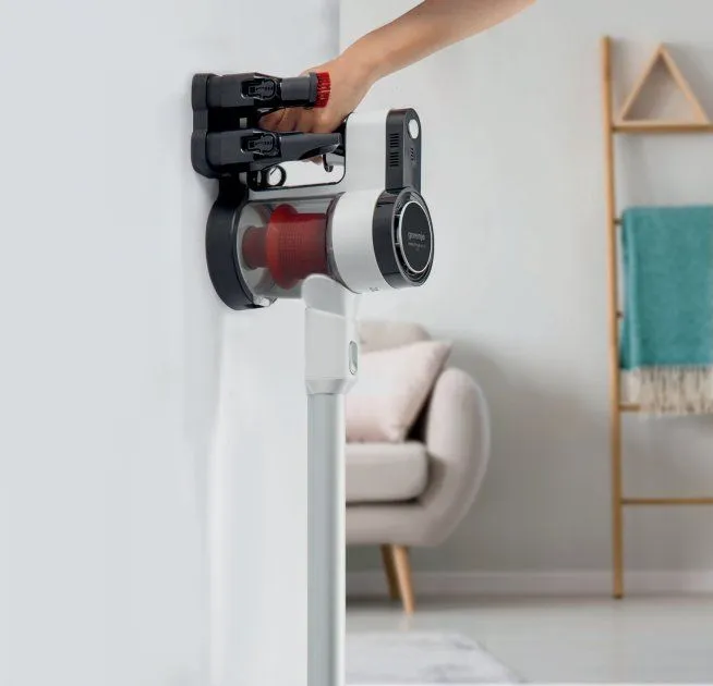 Пилосос без мішка Gorenje SVC216FMLW